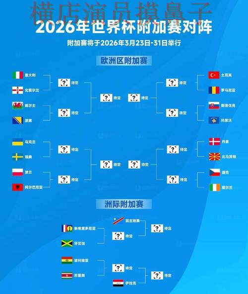 新手必看：世界杯竞猜平台数据分析详解 + 2026世界杯