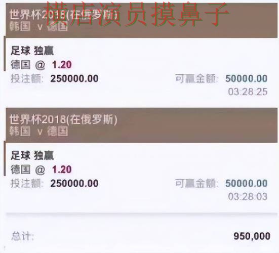 汇总世界杯投注平台：从平台排行到使用全流程解析 - 世界杯官方信息