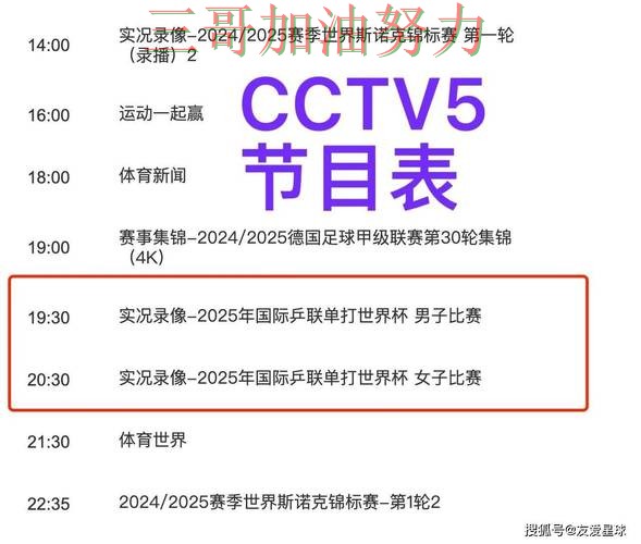 世界杯官方信息背景下的世界杯买球平台精选与访问方式直播解析 世界杯官方信息背景下的世界杯买球平台精选与访问方式直播解析